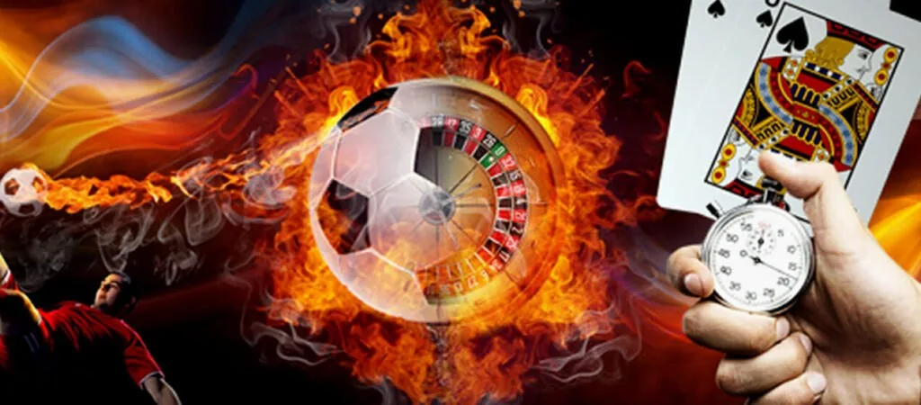 zs999apk Bonus